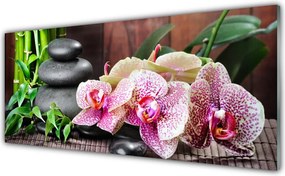 Dekor Szklany do Kuchni Orchidea w Klimacie Zen