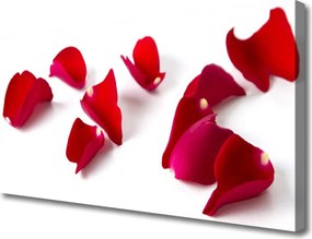 Obraz canvas Makro Płatków Kwiatowych