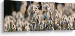 Obraz - Biała wełnianka (z zegarem) (90x30 cm)