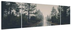 Obraz drogi w deszczu (170x50 cm)