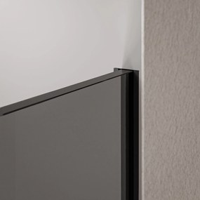 Ścianka prysznicowa Walk-In EX102 - bezpieczne szkło szare 10 mm