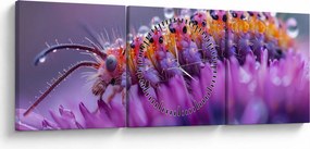 Obraz - Caterpillar (z zegarem) (90x30 cm)