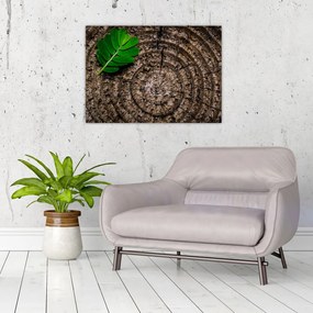 Obraz liścia na pniu drzewa (70x50 cm)