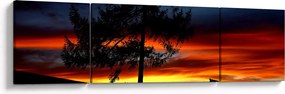 Obraz - Sylwetka wilka (170x50 cm)