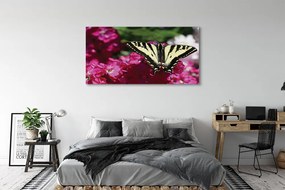 Obraz canvas na ścianę Kwiaty i Motyl