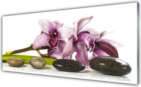 Panel Szklany Harmonijna Roślina i Kamienie