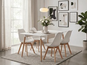 Zestaw jadalniany 1 + 4, biały stół ADRIA 120x80 cm + białe krzesło KITO