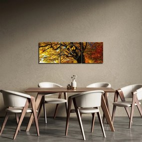 Obraz jesiennego drzewa (z zegarem) (90x30 cm)