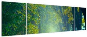 Obraz drogi wysadzanej drzewami (170x50 cm)