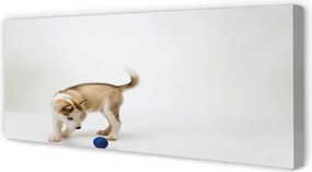Duży obraz na płótnie Radosny, Bawiący się Pies