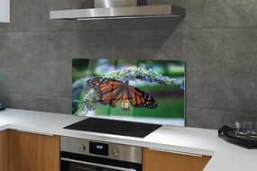 Panel Szklany Motyl Spijający Nektar