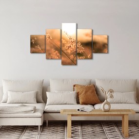 Obraz - Trawa  na słońcu (125x70 cm)
