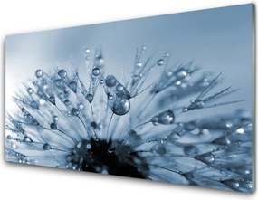 Panel Szklany do Kuchni Dmuchawiec w Porannej Rosie