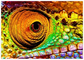 Obraz - Kameleon (70x50 cm)