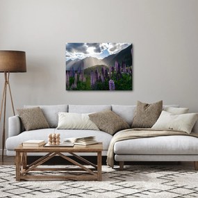Obraz - Sceneria łubinów (70x50 cm)