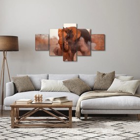 Obraz - Wielki słoń afrykański (125x70 cm)