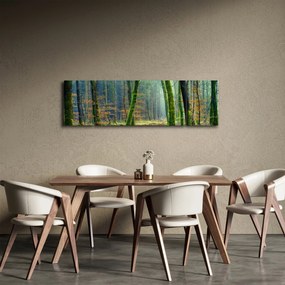 Obraz lasu (170x50 cm)
