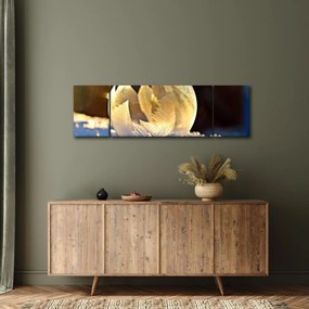 Obraz zamrożonej bańki (170x50 cm)
