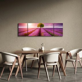 Obraz pola z lawendą (170x50 cm)