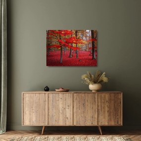 Obraz na szkle - Czerwony Las (70x50 cm)