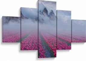 Obraz - Krajobraz z polami tulipanów (125x70 cm)
