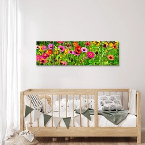 Obraz kwiatów polnych (170x50 cm)