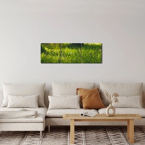 Obraz natury - łąka (z zegarem) (90x30 cm)