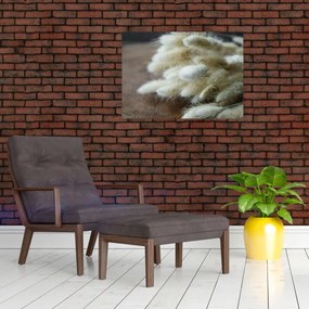 Obraz - Zajęczy ogonek (70x50 cm)