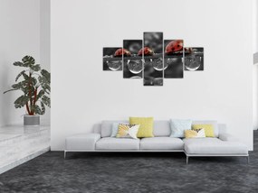 Obraz - Słonecznik, czarno-biały (125x70 cm)