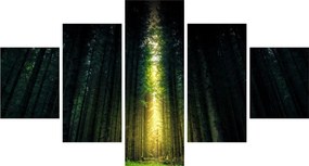 Obraz ciemnego lasu (125x70 cm)
