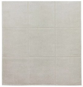 Jasnoszary dywan 120x170 cm Elio Silver – Think Rugs