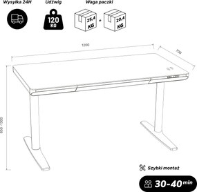 Biurko elektryczne sit-stand z szufladą i ładowarką bezprzewodową Qi białe/złoty dąb, 1200 mm: ELLIS