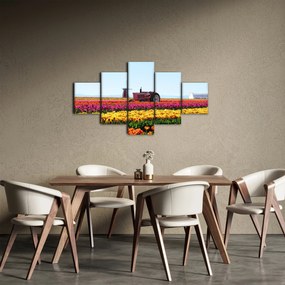 Obraz farmy tulipanów (125x70 cm)