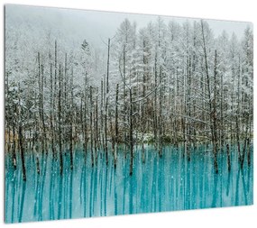 Obraz na szkle - Turkusowy staw, Biei, Japonia (70x50 cm)