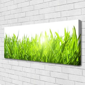 Zdjęcie na płótnie Soczysta Zielona Trawa