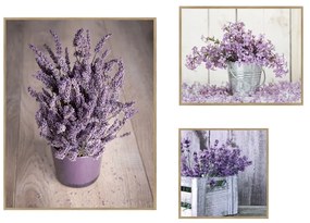 Obrazy zestaw 3 szt. 40x50 cm Purple Flowers – knor