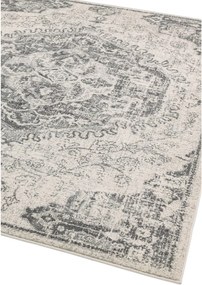 Szary/kremowy dywan 200x290 cm Nova – Asiatic Carpets