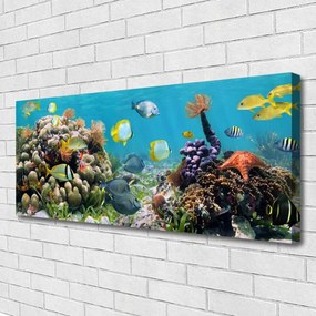 Obraz na płótnie Podwodny Świat Oceanu