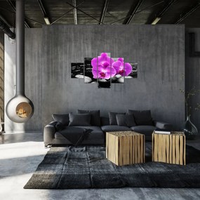 Obraz - Fioletowe orchidee (125x70 cm)