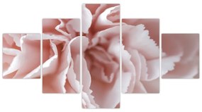 Obraz - Szczegół kwiatu (125x70 cm)