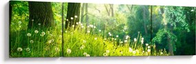 Obraz - Magiczna łąka pełna mniszków lekarskich (170x50 cm)