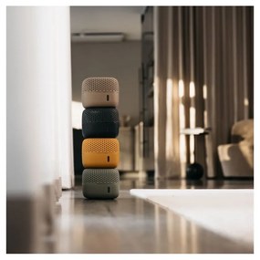 Pochłaniacz wilgoci Absodry Duo Family Bag 3-series – Everbrand Sweden