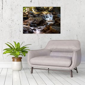 Obraz skalistego strumienia (70x50 cm)