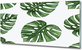 Foto obraz szkło hartowane Monstera