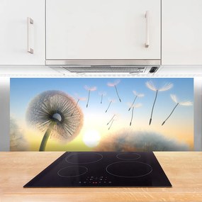 Panel Szklany Puszyste Parasolki Dmuchawca