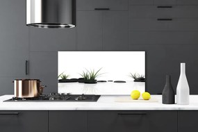 Panel Szklany do Kuchni Odbicie Traw W Lustrze Wody