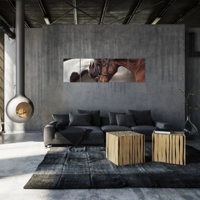 Obraz - Zakochane konie (170x50 cm)