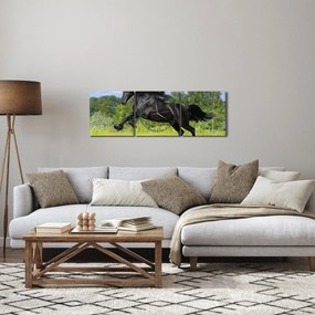 Obraz - Koń z płynącą grzywą (z zegarem) (90x30 cm)