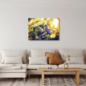 Obraz na szkle sowy na drzewie (70x50 cm)