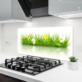 Panel Szklany do Kuchni Zielona Świeżość Trawy